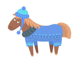 2025 Hawkesbury Winter Horse Show